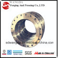 Forged Carbon Steel Flanges (SANS1123)